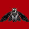 Junior's Design By Humans Monochrome Cicada By Realkey T-Shirt - 2 of 3
