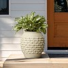 LuxenHome Coastal Beige Mgo 16.5-Inch Round Planter - 3 of 4
