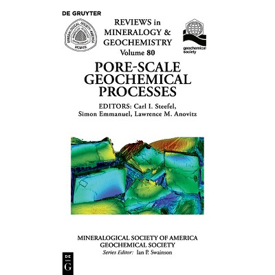 Pore Scale Geochemical Processes - (Reviews in Mineralogy & Geochemistry) by  Carl Steefel & Simon Emmanuel & Lawrence Anovitz (Paperback)
