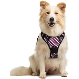 rabbitgoo Dog Harness No Pull with 2 Leash Clips, Control Handle for Large Dogs, Red Stripe, M - 1 of 1