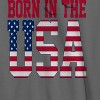 Rerun Island Men's Born In The Usa Flag Logo Black Americana 4Th Of July Long Sleeve Graphic Cotton Sweatshirt Hoodie - 2 of 4