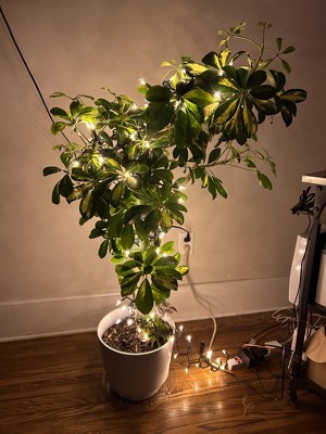 Guest review image 1 of 2, zoom in