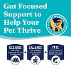 Solid Gold Leaping Waters Salmon Flavor Wet Dog Food - 13.2oz - 4 of 4