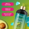 Mielle Organics Avocado & Tamanu Anti-Frizz Shampoo - 12 fl oz - 3 of 4