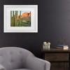 Trademark Fine Art - Alan Majchrowicz Organ Pipe Cactus National Monument Arizona Matted Framed Art - 2 of 4