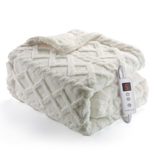 GustoWave Heated Blanket Throw - Thick Cotton Velvet Blanket with Controller, Fast Heating Machine Washable, Beige - 1 of 4