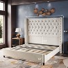 Bed Frame with 61.4" Headboard,Velvet Tufted and Handmade Pleat Deep Button - 3 of 4