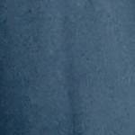 blue indigo