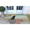 Liora Manne Frontporch Coastal Indoor/Outdoor Rug.. - 4 of 4
