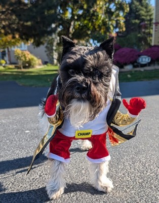 Guest review image 5 of 6, zoom in