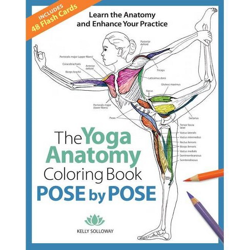 Download Pose By Pose 2 The Yoga Anatomy Coloring Book By Kelly Solloway Paperback Target