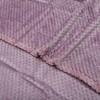 Unique Bargains Blanket Mesh Pineapple Pattern Coral Fleece Polyester 28"x39" - 3 of 4