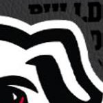 georgia bulldogs uga