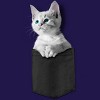Junior's Design By Humans Pocket Kitten By Mitxeldotcom T-Shirt - 2 of 3