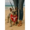 Parisian Pet 'Bitches Love Me' Bandana - Stylish, Comfortable, Trendy Red Bandana for Dogs & Cats, Fun Pet Fashion Accessory - 2 of 4