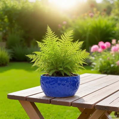 SpassWay 15" Dia Outdoor Indoor Ceramic Planter Pot Decorative Planter with Drainage Hole Patio Flower Pot