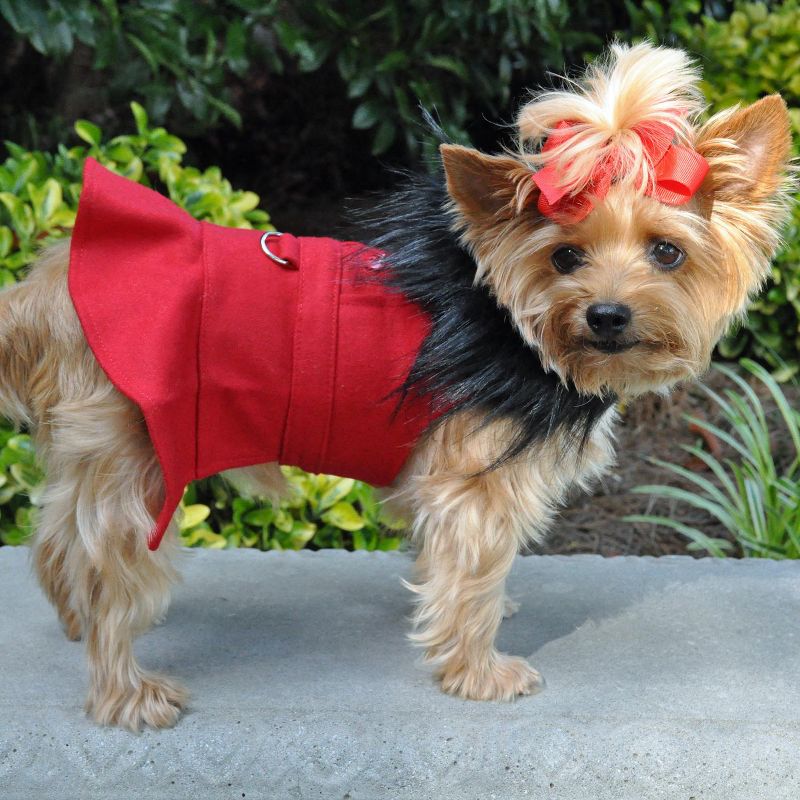 Doggie Design Wool Dog Coat Harness Fur Collar with Matching Leash-Red, 3 of 4