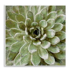 Stupell Industries Green Botanical Succulent Bloom, 12" x 12" - 1 of 4