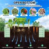 Galvanized Raised Garden Bed, Outdoor Large Planter Raised Beds Open Base with Safety Edge and Glove for Vegetables Flowers Ground Planter - 3 of 4