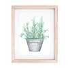 Melrose Framed Watercolor Herb Print (Set of 4) - 4 of 4