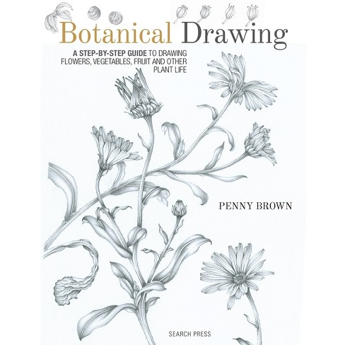 Botanical Drawing - by  Penny Brown (Paperback) - image 1 of 1