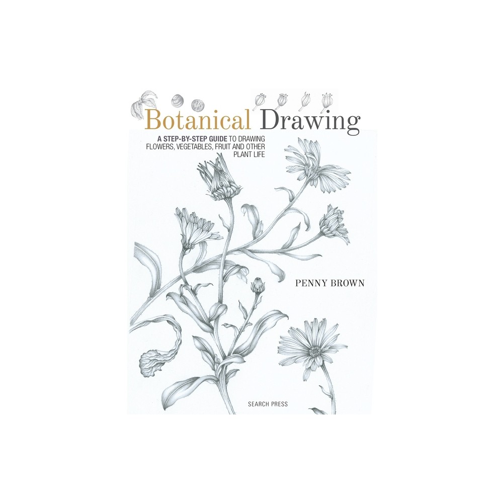 Botanical Drawing - by Penny Brown (Paperback)