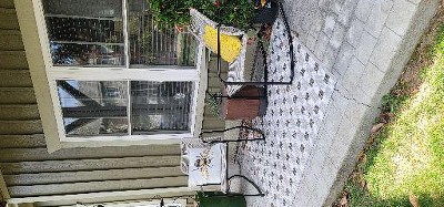Guest review image 1 of 1, zoom in