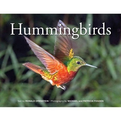 Hummingbirds - by  Orenstein (Paperback)