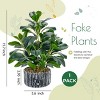 Aoibox Fake Plants Artificial Potted Plants Indoor with Black and White Striped Pots for Home Bathroom Bedroom Kitchen Decor - 3 of 4