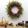20 Inches Classic Rustic Wreath Green Norfolk Pine Needle Red Berry Xmas Winter Wreath for Front Door Window Porch Wall - 2 of 4