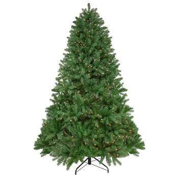 Northlight 6.5' Pre-Lit Full Sierra Noble Fir Artificial Christmas Tree, Clear Lights