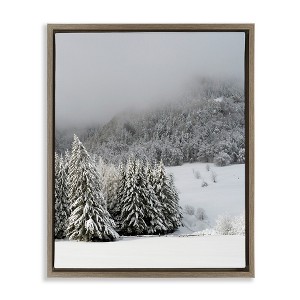 Stupell Industries Winter Snowscape Woodland Trees Floating Frame Canvas Art - 1 of 4