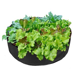 GOTGELIF Stylish 50-Gallon Breathable Felt Grow Bags Planter Perfect for Balcony Garden - 1 of 4