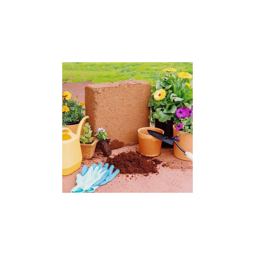 Photos - Garden & Outdoor Decoration Envelor 4pk 10lb Compressed Coco Coir Bricks Potting Soil: Ideal for House