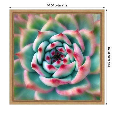 Deep Red Tips Succulent Canvas Print with Frame