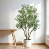 Okak 8FT Tall Artificial Olive Tree with Natural Trunk and Lifelike Olive Leaves and Fruit, Fake Plants with Pot, Plants Decor for Home, Office, Green - 3 of 4