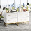 Tribesigns 2 Drawer File Cabinet, Modern Lateral Filing Cabinet - 2 of 4