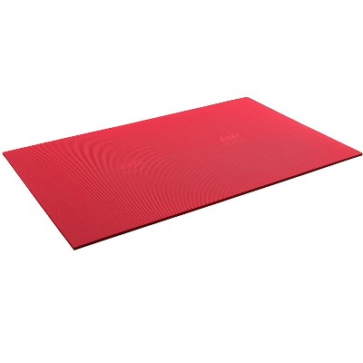 AIREX Exercise ECO Mat Fitness for Yoga, Physical Therapy