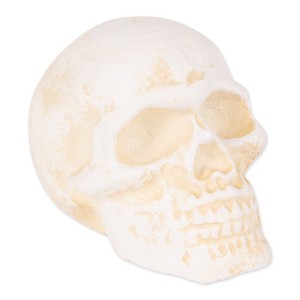 Zingz Home Human Skull Cast Iron Paperweight - 1 of 4
