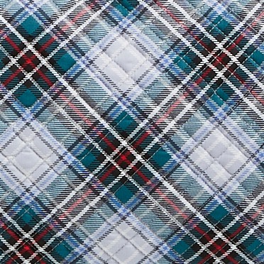 snowy plaid