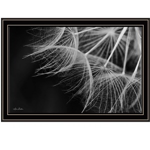 HomeRoots Delicate Beauty Black Framed Print Wall Art - 1 of 4