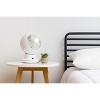 IRIS USA WOOZOO Fan with Remote, Oscillating Fan, Desk Fan, Table Air Circulator, Globe Fan, Fan for Bedroom, Low Noise DC Motor - 4 of 4
