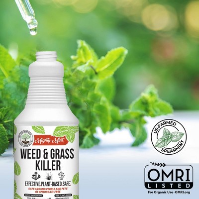 Mighty Mint 31oz Outdoor Weed and Grass Killer_6