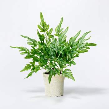 Small Artificial Ribbon Fern Leaf in Pot - Threshold™ designed with Studio McGee