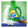 Gain Waterfall Ultra Oxi HE Compatible Liquid Laundry Detergent Soap - image 4 of 4