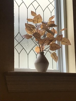 Guest review image 1 of 4, zoom in