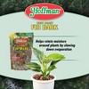 Hoffman West Coast Fir Bark Decorative Moisture Retaining Soil Cover for Potted or Bedded Plants, 2qt - 3 of 4