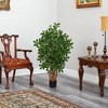 Nearly Natural 3.5-ft Black Olive Artificial Tree - image 4 of 4