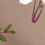 brown sugar romantic rose