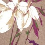 brown sugar romantic rose